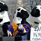 Illustration for article titled Cow blocking traffic en route to Chick-fil-A proves universe has sense of ironyem/em